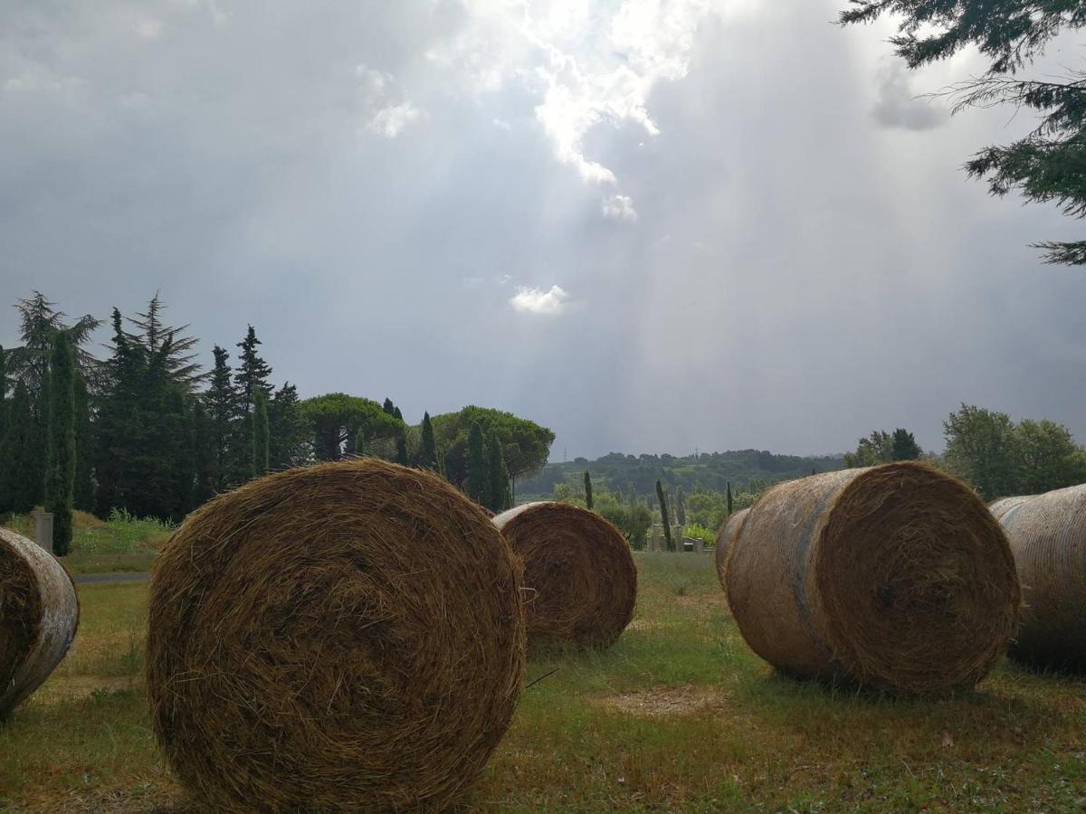 Masseria Le Querciole Fauglia Exteriér fotografie