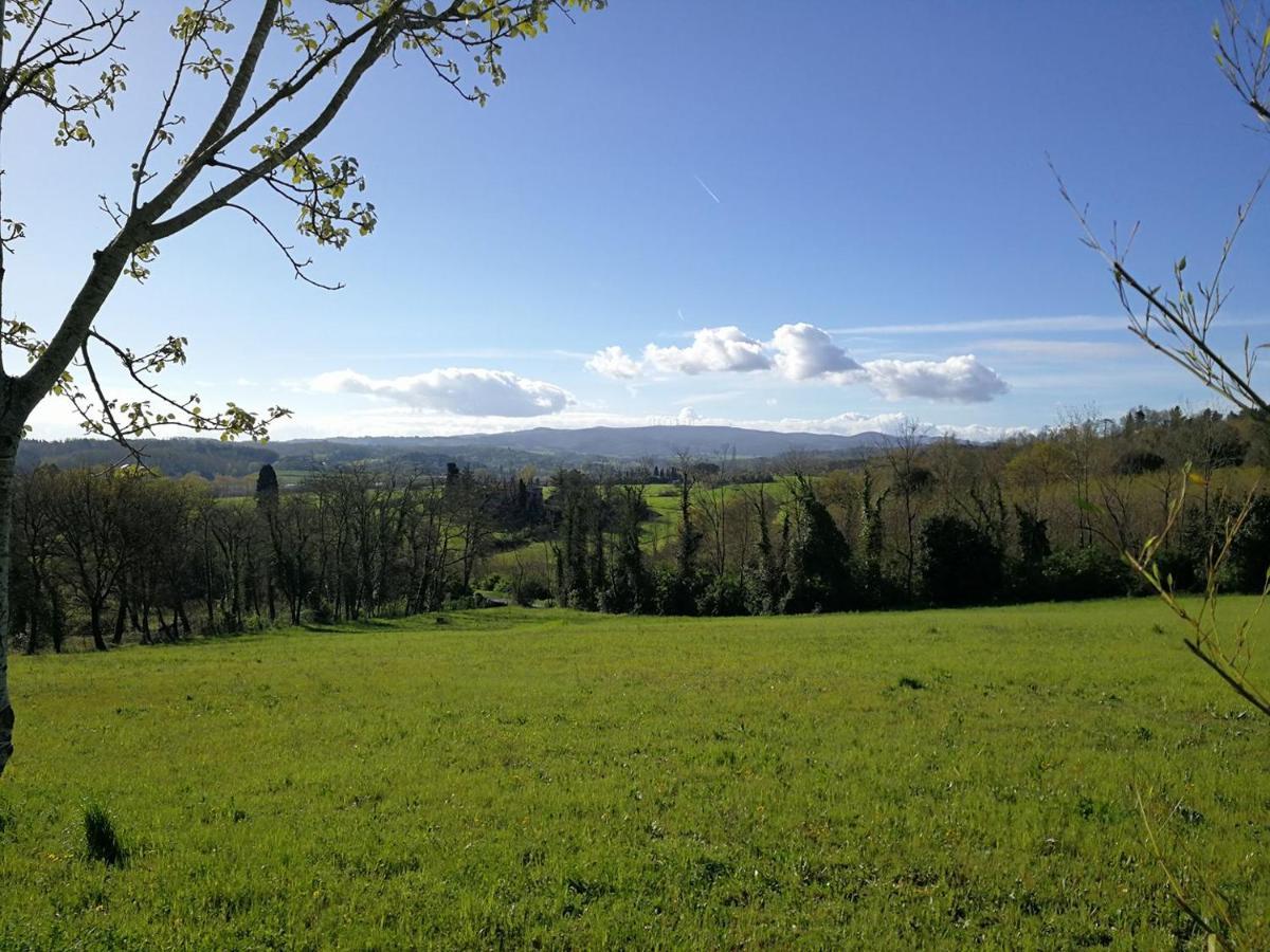 Masseria Le Querciole Fauglia Exteriér fotografie