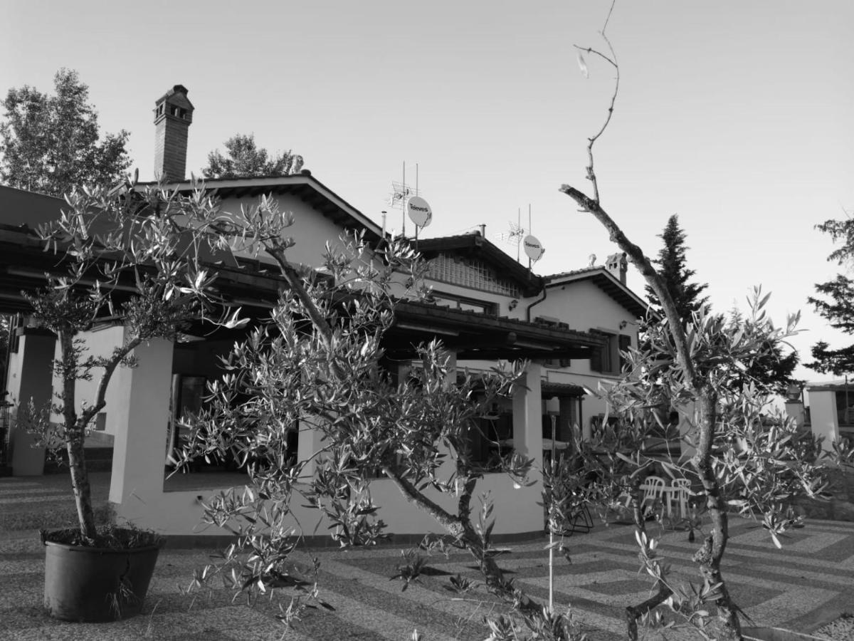 Masseria Le Querciole Fauglia Exteriér fotografie